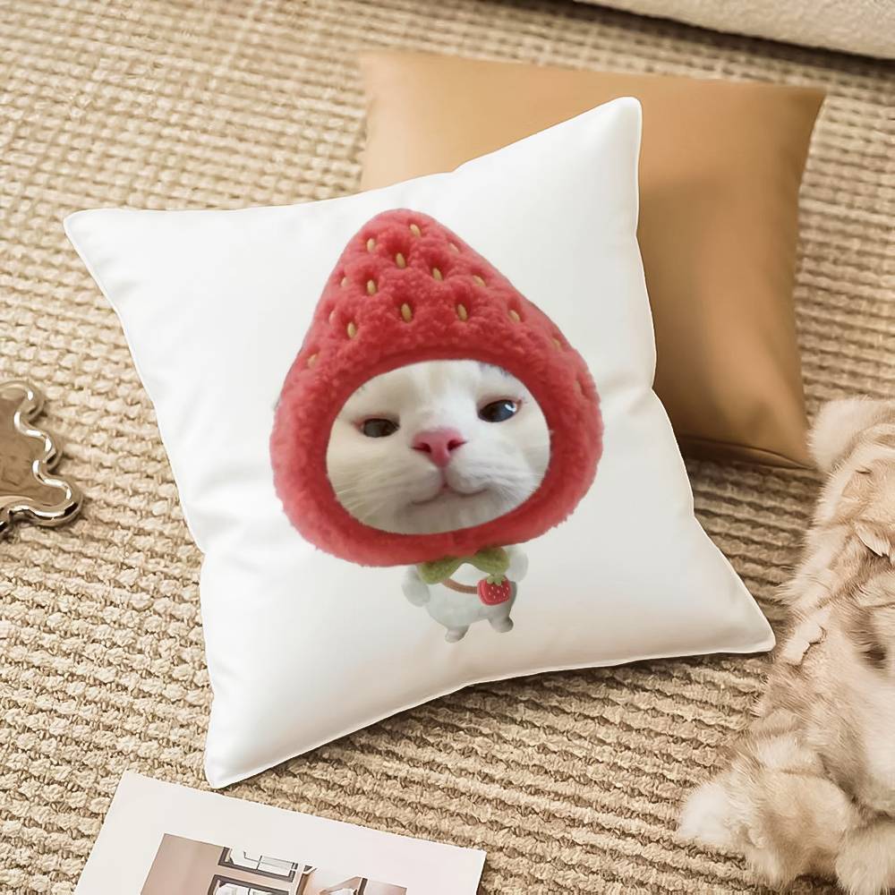 D-мечтательный Клубничный Наволочка Антипылевой клещ Невидимая молния Диван-кровать 12x12Inch