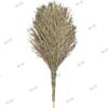 Heavy-Duty Wooden Handle Sweeping Broom
