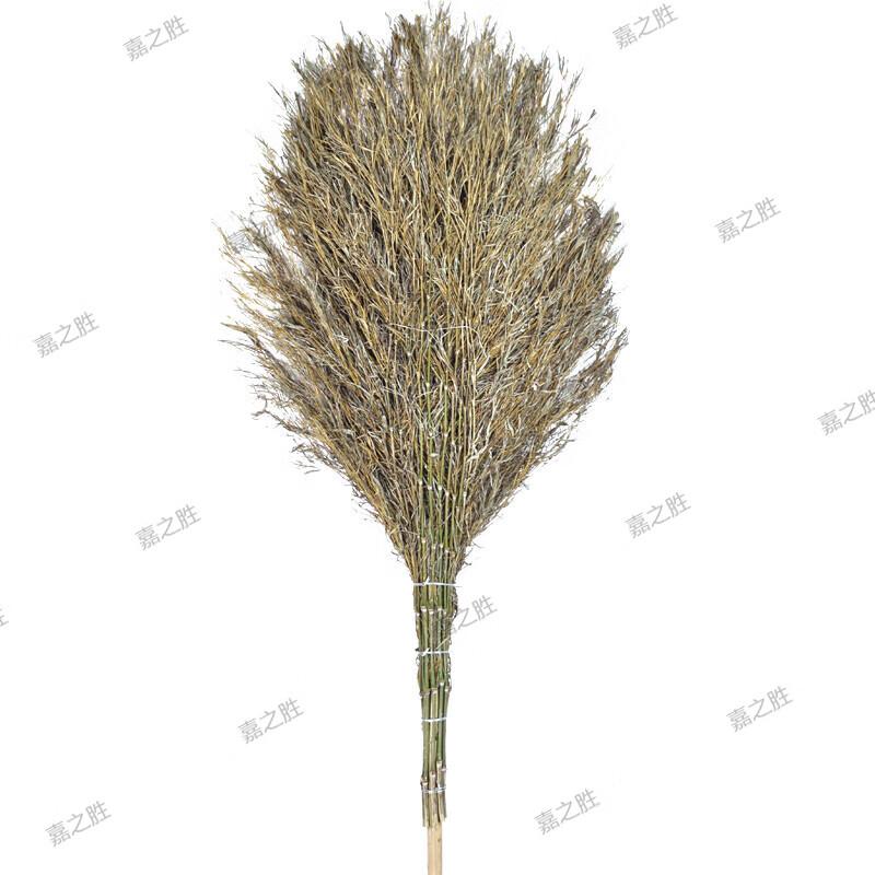 Heavy-Duty Wooden Handle Sweeping Broom