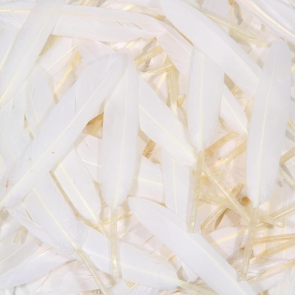 News Natural Goose Feathers 50pcs Plumes White Feather Plume for Craft DIY Party Jewelry Decoration Home Decoration 2025