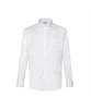 Dagseusyeocheu 100% Cotton Solid Dress Shirt Regular Fit_Dla1Shdl130A1