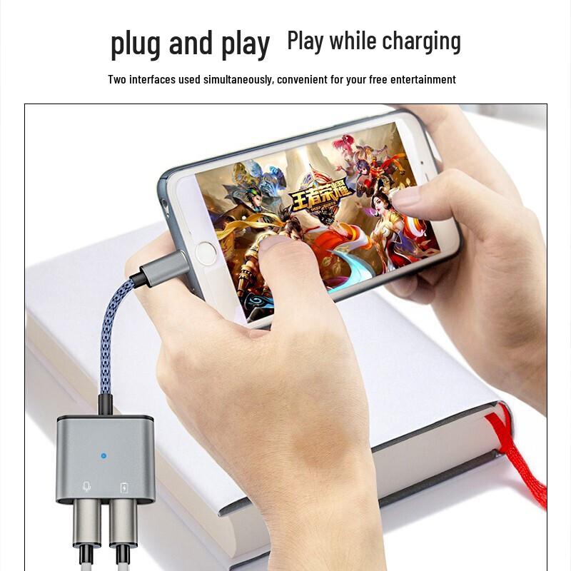 Deyu iPhone iPad Lightning Audio & Charging Adapter