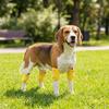 Anti-dirty Pet Knee Pads Soft Dog Leg Warmer Puppy Leg Protector Dog Elbow Cover  Front Rear Legs
