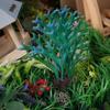 Water Grass Mini Artificial Aquatic Plants Simulation Plastic Antlers Coral Grass Lifelike Underwater Aquatic Plants Home