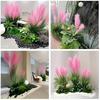 1pc 5 Heads Large Realistic Pink Artificial Foxtail Grass Plants, 31.5inch Tall with Pink Reed Flowers and Green Foliage Bushes - Indoor/Outdoor Use