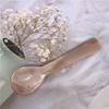 Abay Seashell Plastic Coffee & Ice Cream Spoons
