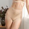 Shapers Slimming Shapewear Lace Mesh Butt Lifting Briefs Tummy Control Underwear  Tummy Control