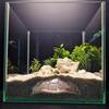 Shrimp Breeding Cave Hide Place Mythical Medusa Fish Tanks Decoration for Aquariums With Mythological Artwork