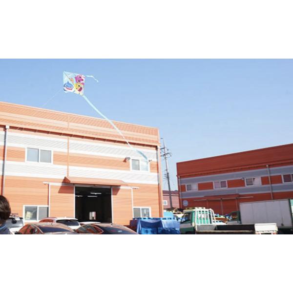 B&C Pinkfong Stingray Kite, 3 Pieces, Korean Popular Toys