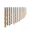 In-stock 13-piece Titanium-Plated High-Speed Steel Twist Drill & Electric Screwdriver Bit Set