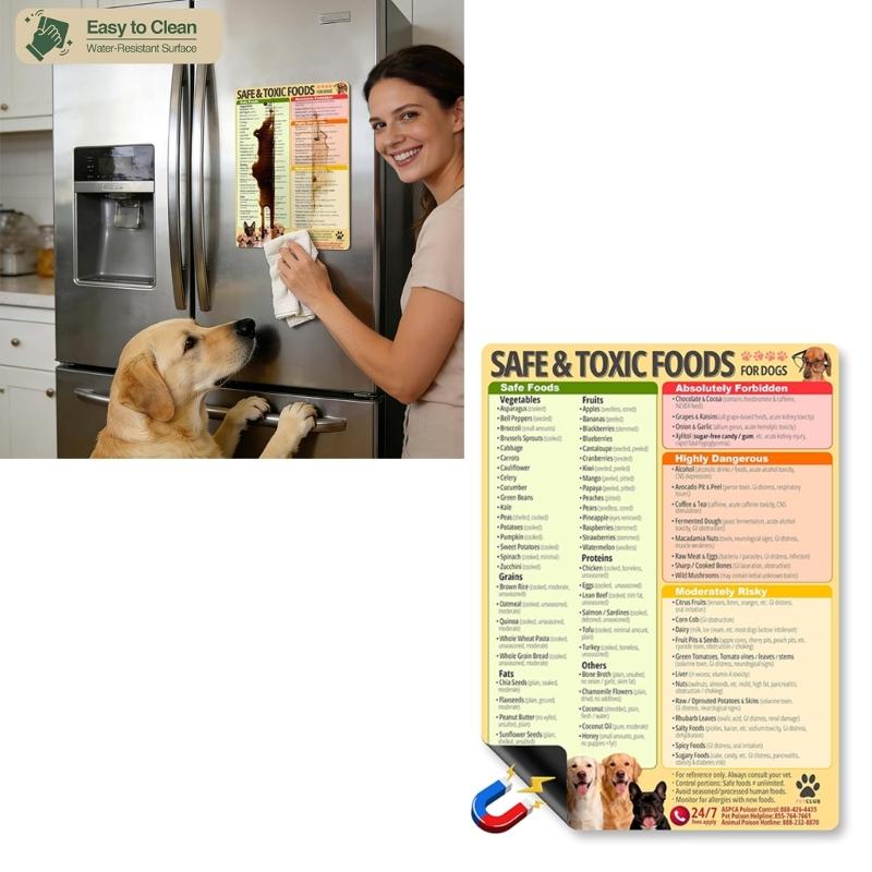 Educational Dogs Food Safety Magnetic Poster Dogs Feeding Safety Magnet For Responsible Pet Caregivers