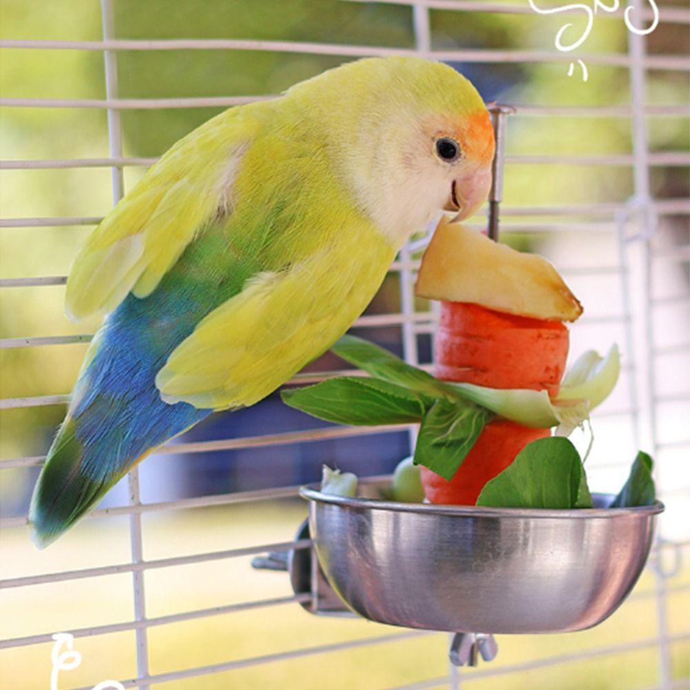 Stainless Steel Parrot Feeder Splash-Proof Hanging Vegetable Skewer Large Capacity Easy to Clean Bird Food Holder Parakeets