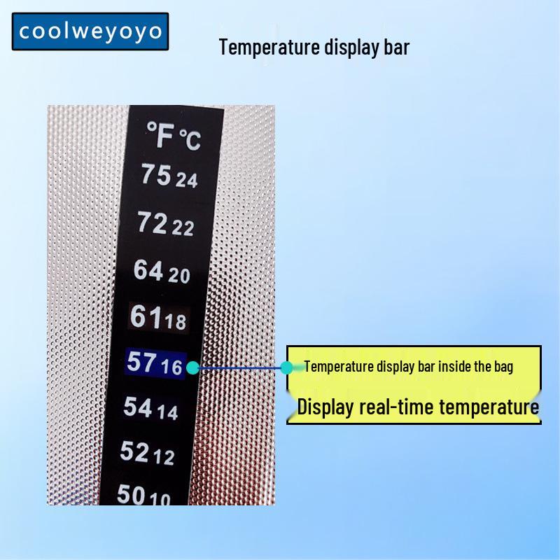 Portable Insulin Cooler Bag EVA Refrigeration Case for Medicine and Syringes