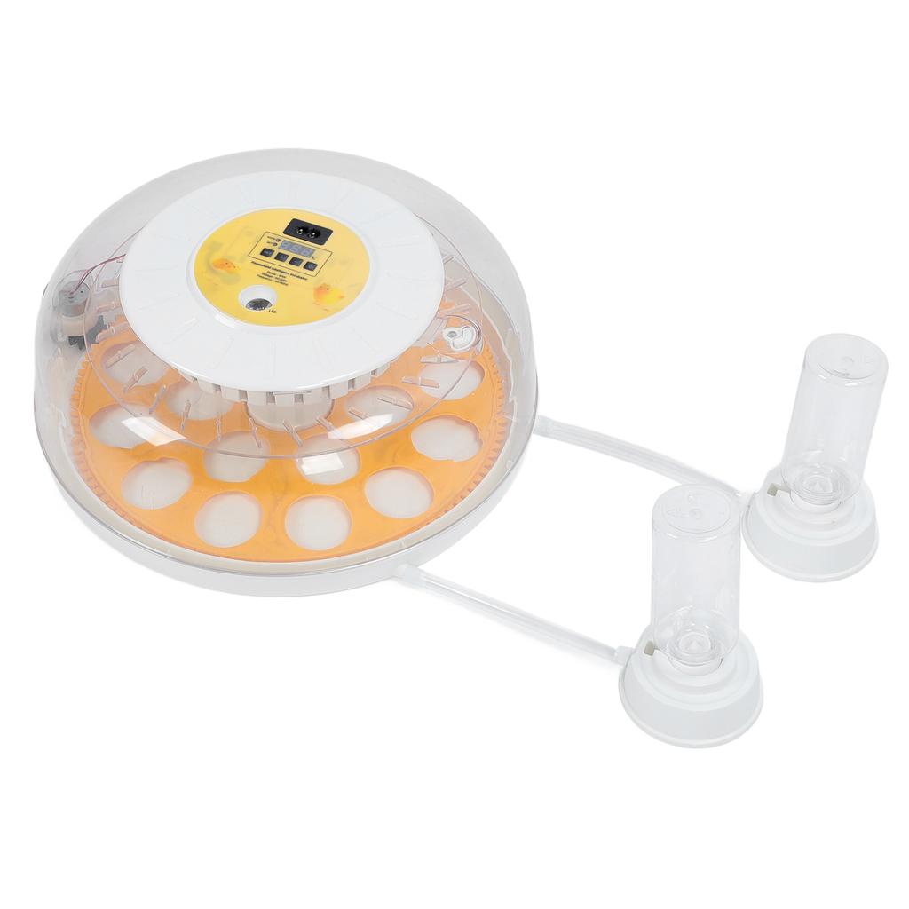 Eggs Incubator Automatic Turner Versatile Transparent Lid Easy To Use Egg Hatching Incubator for