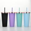 Plastic Water Cup Fashionable Rose Gold Cover Matte Multi-Color Double-Layer Plastic Straw Cup