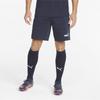 Puma Teamfinal Casuals Shorts 65738706 R S