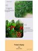 2.7m Christmas Garland for Decoration - Tree, Wreath, Wall, Door Hanging, Hotel, Shopping Mall Display