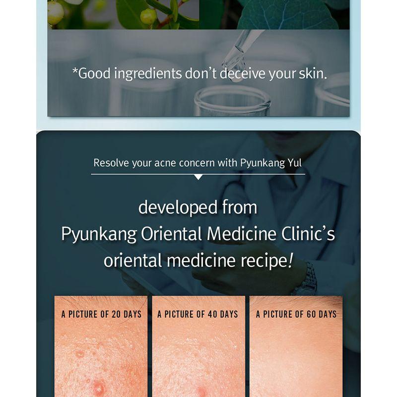 Pyunkang Yul - Acne Spot Cream 15ml