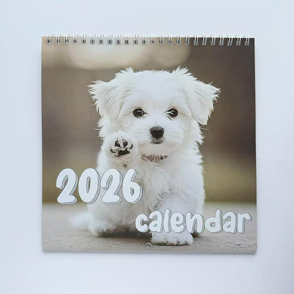 2026 Minimalist Wall Calendar Monthly Planner Hanging Calendar For Home