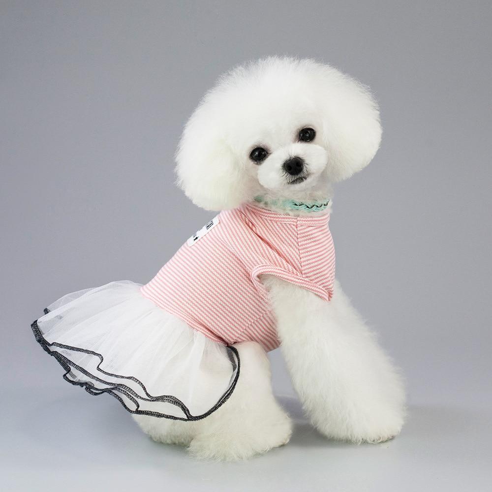female dog dresses