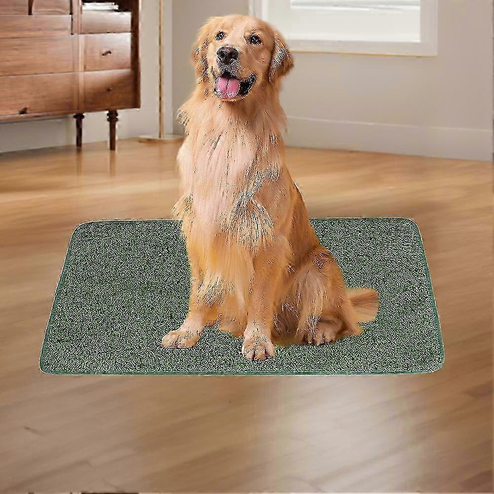 x Dog Pee Pad for Indoor Multifunctional Washable Pee Pad for Home