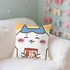CartoonCChiikawasCute Case Plush Fabric Soft Pillowcase Double Sided Print Cushion Cover Household Gifts