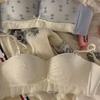 Half a cup gathered to show large, no steel ring, double breasts, anti-sagging sweet lace bra cover set