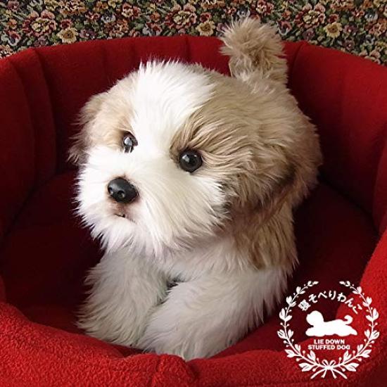 [Realistic Plush Dog] Ninian and Kino Realistic Plush Dog Lying Down, Total Length 40cm, Pet (Shih Tzu)