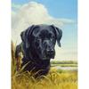 CHENISTORY Pittura su Tela con Numeri Animali Disegno di Cane su Tela Pittura a Mano Arte Murale Pittura con Numeri Regalo Personalizzato