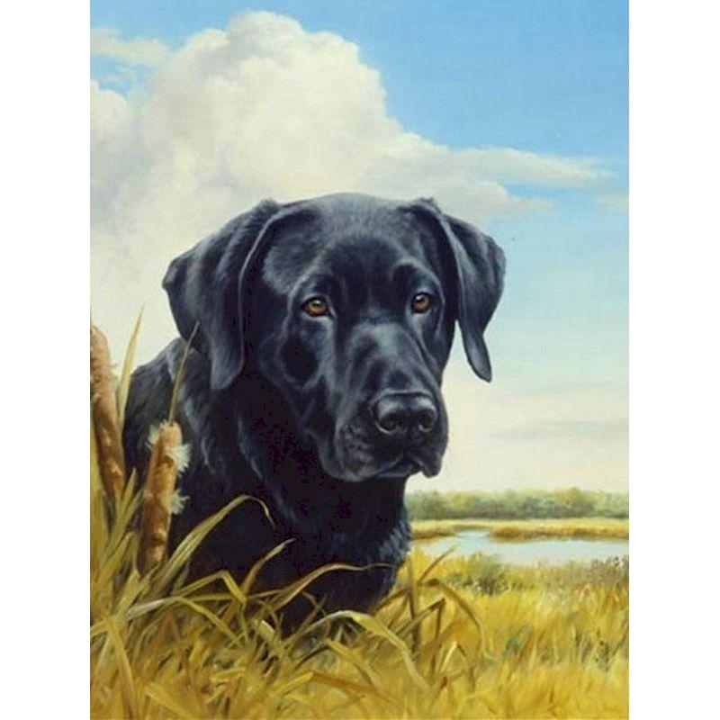 CHENISTORY Pittura su Tela con Numeri Animali Disegno di Cane su Tela Pittura a Mano Arte Murale Pittura con Numeri Regalo Personalizzato