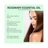 Hoegoa Rosemary Hair Oil Hair Nourishing Scalp Treatment, Smooth Hydrating Hair Oil