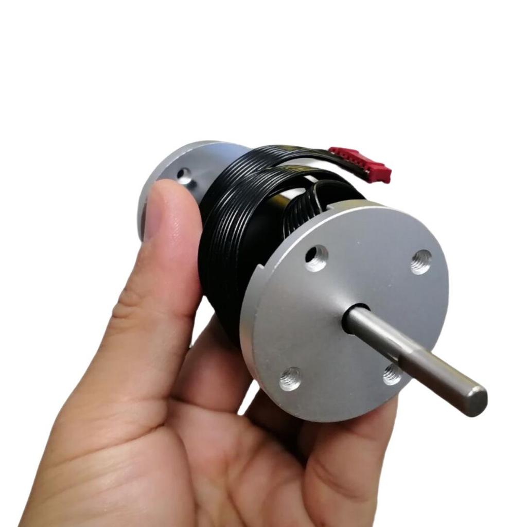 28mm Dual Shaft Miniature 24V DC Brushless Motor for Pumps