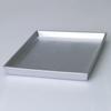 Diora Small Decorative Square Tray In Silver Color