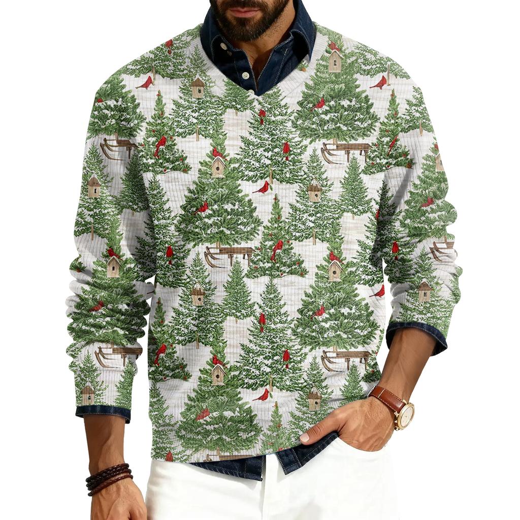 Herren V-Ausschnitt Langarm Rippstrick Pullover