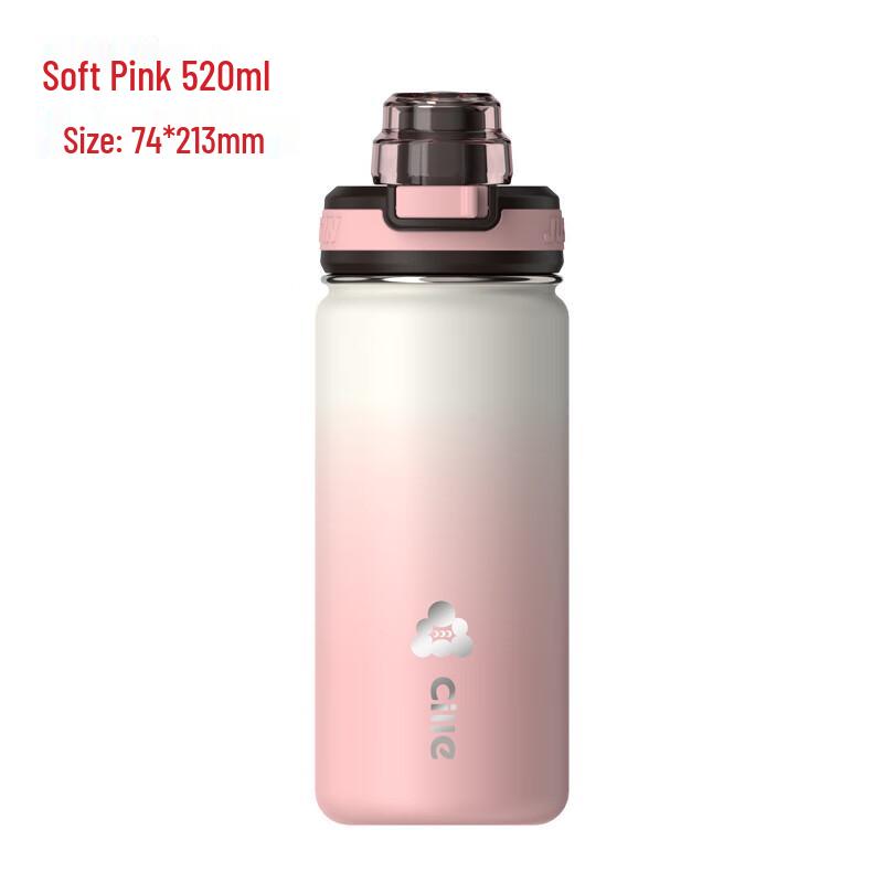 CILLE 316 Stainless Steel Insulated Straw Water Bottle