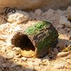 Reptile Supplies for Tanks Hideout Cave, Tree Trunk Gecko Lizard Realistic Arched Habitat Decoration Bark Hideaway Spiders Tortoises Tank Terrarium