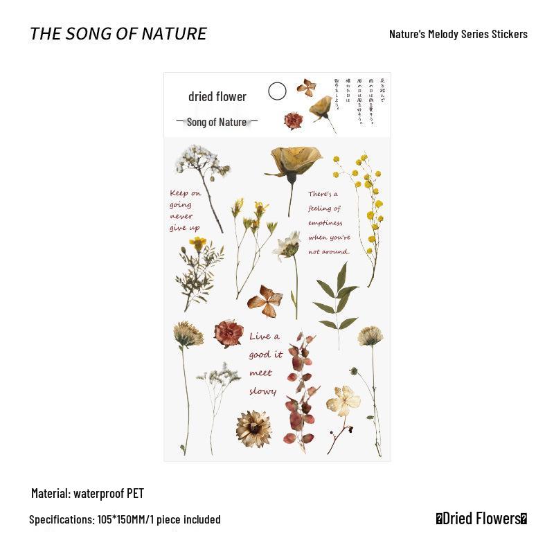 PVC Flower & Plant Stickers for DIY Crafts, Journals, Collages & Kids' Gifts