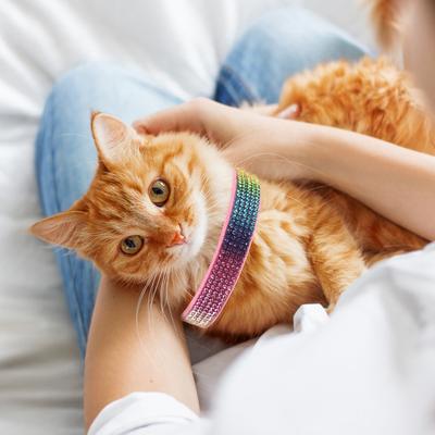 Strass Katze Halsband Verstellbar Funkelnd Dekorativ Party Welpen Halsband Bequem Hautfreundlich Modisch Haustier Halsbinde