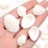 40g/lote Cuentas Blancas con Forma de Concha de Vieira Para Hacer Joyería Cuentas Espaciadoras Sueltas Amuletos Hechos a Mano DIY Accesorios para Pulsera Collar