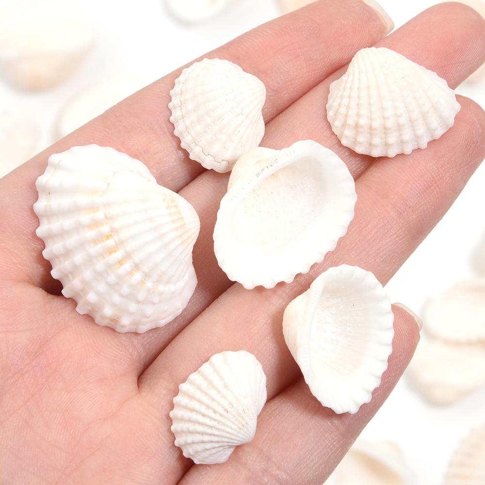 40g/lote Cuentas Blancas con Forma de Concha de Vieira Para Hacer Joyería Cuentas Espaciadoras Sueltas Amuletos Hechos a Mano DIY Accesorios para Pulsera Collar