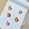 500/roll, Christmas, Creative Cartoon, Squirrel, Sealing Stickers, Gift Packaging, Envelope Stickers