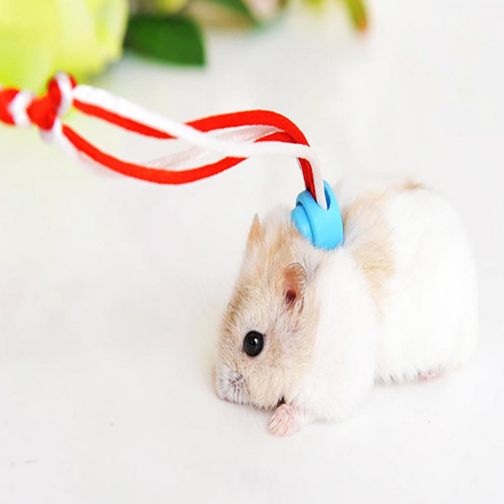 Haustierleine Zugseil Leine Spaziergang 1.4/2m Hamster Meerschweinchen Cobaya Kaninchen Frettchen Chinchillas Klein Halsband Leine