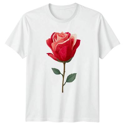 Top – T-shirts