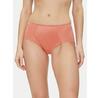 Triumph Essential Boxers