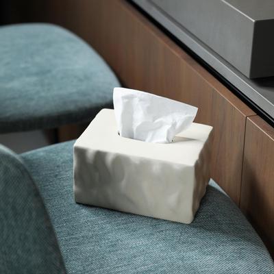 Ceramic Holder for Facial Tissue Storage In Living