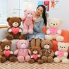 New Hug Bear Doll Plush Toy Teddy Bear Rag Doll Doll Sleeping Pillow Birthday Gift for Women