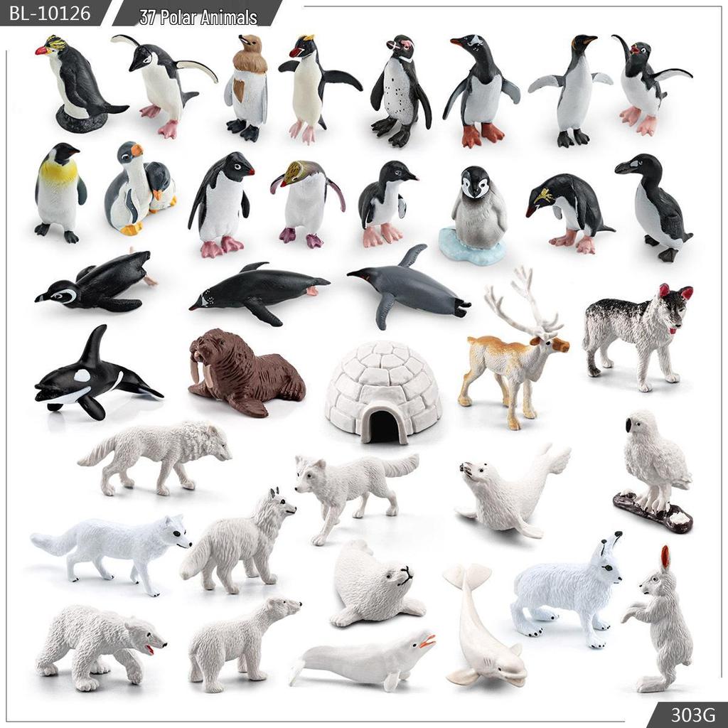 Realistic Arctic Animal Models: Polar Bear, Arctic Fox, Seal, Walrus, Whale