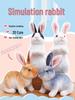 2023 Zodiac Little White Rabbit Plush Doll - Year of the Rabbit Mascot Toy