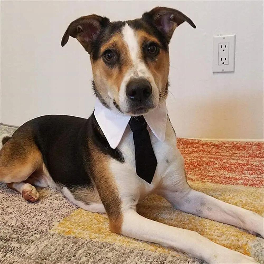 Tie For Dog Cat Universal Velcro Elegant Wedding Outfit Size S