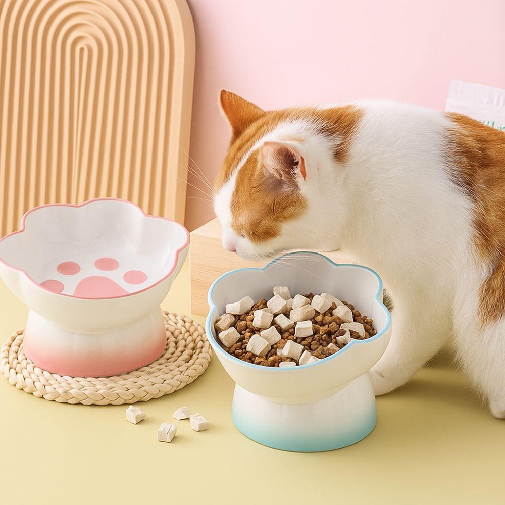 Slanted Dog Food Bowl High Foot Pet Feeder Cute Ceramic Cat Bowl  For Cats Dogs